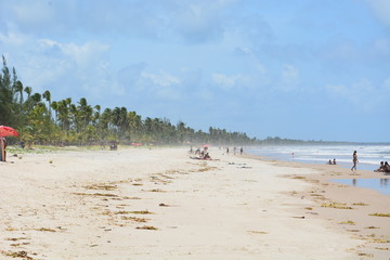 canavieiras - bahia 