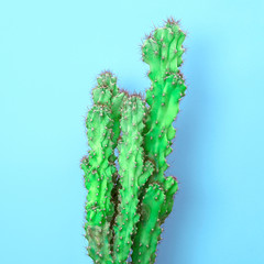 Trendy tropical Green Neon Cactus plant on Blue Color background. Fashion Minimal Art Concept. Creative Style. Cacti colorfull fashionable mood