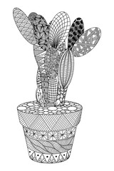 cactus in a pot, flower in zenart style, black and white drawing, doodle, still life