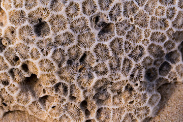 Rocks on the beach.stone and white sand.Blurred and soft focus.