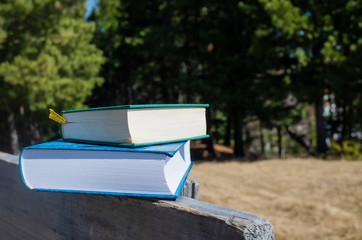 The concept of summer reading in nature, recreation with a book. The book lies on a wooden fence on the background of coniferous trees of the forest. Sunny afternoon. Cozy still life. Copy space.