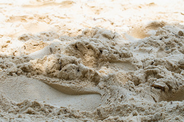 Footprints on the beach.