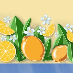 Composition of delicious citrus fruit and green leaves on white background