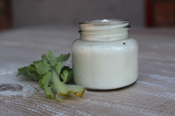 Organic face cream with sprig of celandine