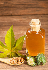 Beans and castor oil - Ricinus communis