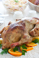 Duck baked with oranges on a white table, selective focus
