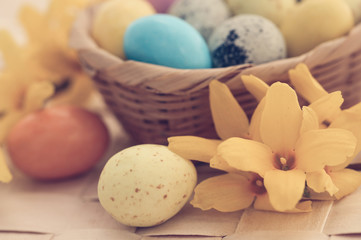 Easter egg with spring flower forsythia