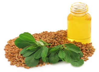 Fenugreek seeds with oil in bottle