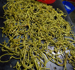 mess of freshly steamed fernbraken stems spread out 