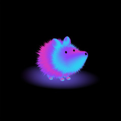 Cute Fluffy Furry Hedgehog Fur Neon Hair Shaggy Style Fluorescent Gradient Urchin Lovely Animal Isolated in Black Background 