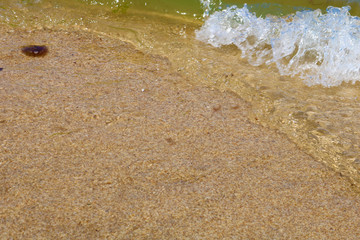 Little frothy waves of the sea on the sandy beach. Foamy wave rolls on the Golden sand of the beach