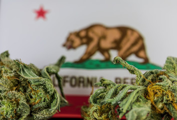 Medical Cannabis in  California - frosty medical cannabis and flag of California background.