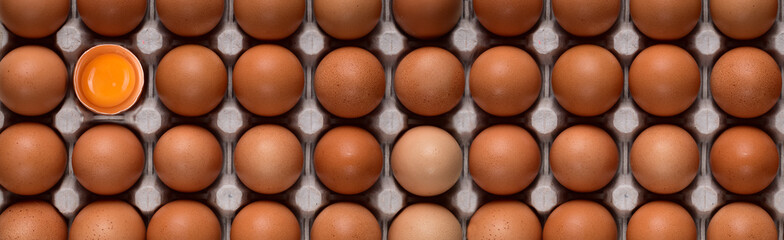 Horizontal banner with even rows of brown chicken eggs and a bright yolk in the upper left corner on a cardboard stand