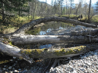 река выдринная бурятия весна