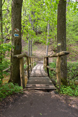 Wooden bridge on the Tanew river in nature reserve Nad Tanwia