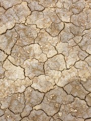 Dry cracked soil