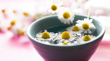 Kamillenblüten in der Naturheilkunde