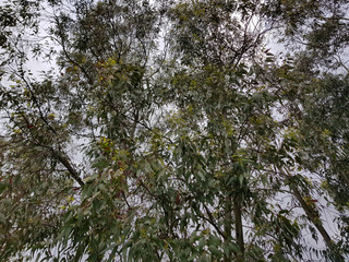 Campagna in Sardegna