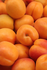 Ripe apricots fruit background