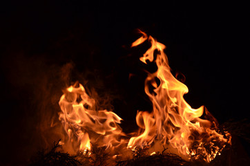 Red-yellow flame of a fire on a black background.