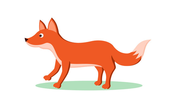 Tricky fox flat cartoon character. Forest animal personage, isolated on white
