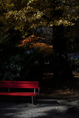 panchina parco ciani