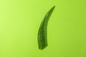 Aloe vera leaf on color background, space for text. Natural treatment