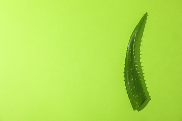 Aloe vera leaf on color background, space for text. Natural treatment