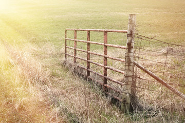 Open pasture gate with sun rays.