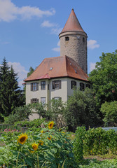 Medieval Tower with Sunflower Garden - Germany