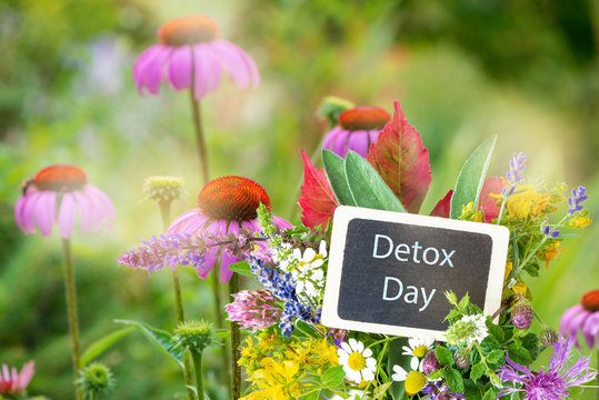 Schild Detoc Day mit Heilkräutern und Pflanzen für Tees