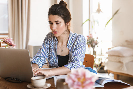 Image of smart pretty woman typing on laptop while working or studying at home