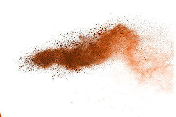 Fototapeta na wymiar Freeze motion of colorful brown powder exploding on white background. 