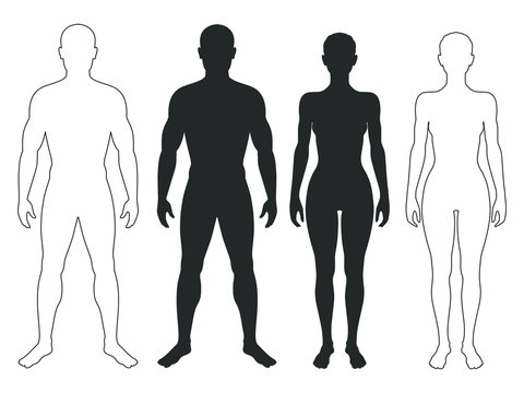 Male and female body silhouettes and contours. Man and woman Isolated symbols on white background. Vector illustration