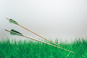 Two wood arrow. Beautiful gray background. Medieval weapons are handmade.