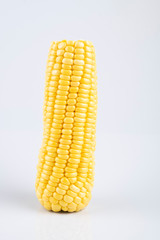 fresh raw sweet corn on the cob kernels over white background
