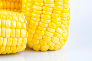 fresh raw sweet corn on the cob kernels over white background