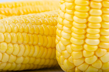 fresh raw sweet corn on the cob kernels over white background