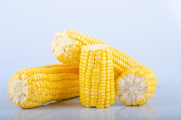 fresh raw sweet corn on the cob kernels over white background