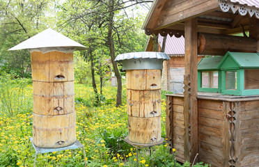 Fototapeta premium Bee hives with different types of metal roofs and wooden plugs.