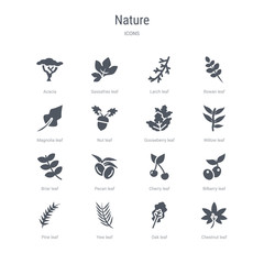 set of 16 vector icons such as chestnut leaf, oak leaf, yew leaf, pine bilberry cherry pecan briar from nature concept. can be used for web, logo, ui\u002fux