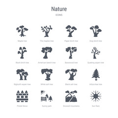 set of 16 vector icons such as sun flare, snowed mountains, sunny park, picket fence, arborvitae tree, black ash tree, white ash tree, bigtooth aspen from nature concept. can be used for web, logo,