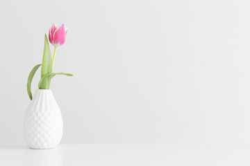 Pink tulip in a vase on a white table with blank copy space.