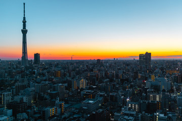 Tokyo skyline at sunrise/ sunset