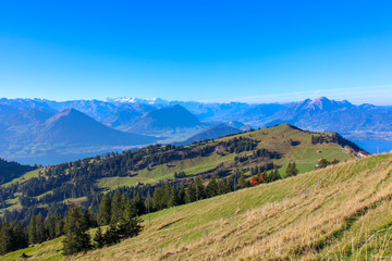 Fototapeta na wymiar A view of the Lake Lucerne