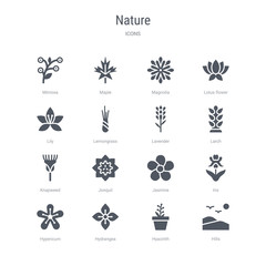set of 16 vector icons such as hills, hyacinth, hydrangea, hypericum, iris, jasmine, jonquil, knapweed from nature concept. can be used for web, logo, ui\u002fux - obrazy, fototapety, plakaty