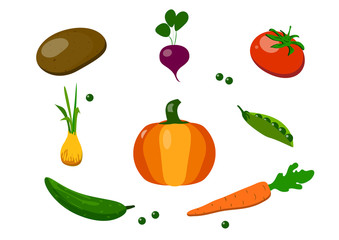  potato, carrot, cucumber, pumpkin, peas, radish, onion, tomato on white background
