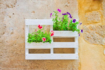 Fototapeta na wymiar Flowers boxes hanging on the wall - Home sweet home concept image