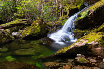 Chasm Waterfall in green jungle of Tasmania near Mole Creek, Australia