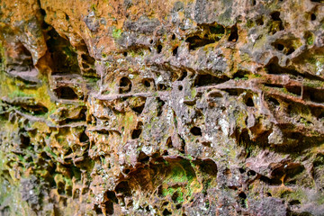 Cave Wall Texture, Rock Face